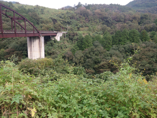 阿讃サーキット道中