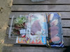 ３枚目の写真:馬瀬山公園(2016年：びやびや祭り会場)
