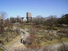 ８枚目の写真:福岡城跡(梅林)