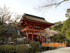１１枚目の写真:上賀茂神社