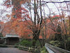 １４枚目の写真:高山寺