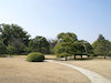 ６枚目の写真:二条城(二の丸庭園)