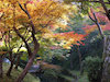 ２０枚目の写真:東福寺