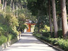 １枚目の写真:三室戸寺(山門)