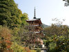 １０枚目の写真:三室戸寺(三重塔)