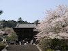 １枚目の写真(長谷寺:仁王門)