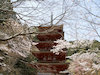 １４枚目の写真(長谷寺:五重塔)