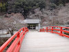 ２枚目の写真:室生寺