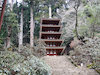 １０枚目の写真:室生寺