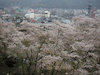 ９枚目の写真:津山城跡