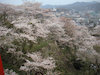 １０枚目の写真:津山城跡